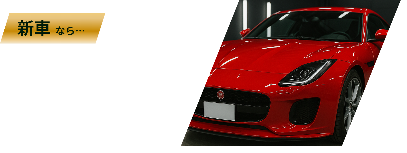 新車なら塗装劣化を防ぎ、洗車回数も減らせる！